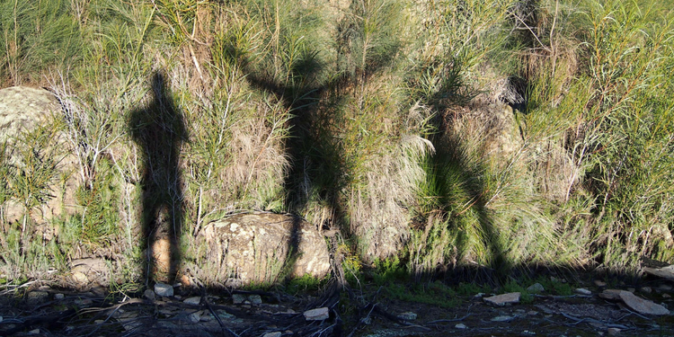 Workshop: Flows in flux -  enabling long-term wealth through short-term tactics