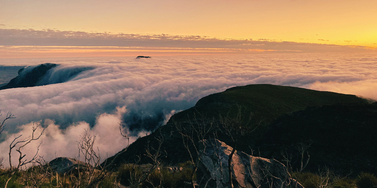 Workshop: Effective Flow - achieving outcomes while maintaining affinity